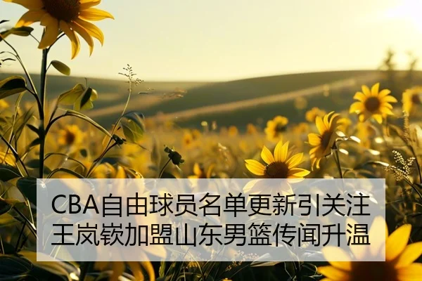 CBA自由球员名单更新引关注 王岚嵚加盟山东男篮传闻升温